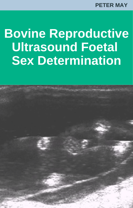 Bovine Reproductive Ultrasound Foetal Sex Determination Vetacademy 