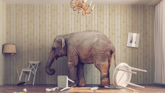 The ‘Elephant in the Room’