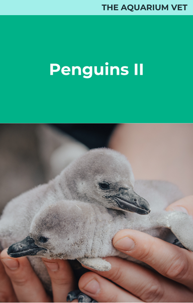 Penguins II