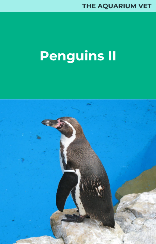 Penguins III