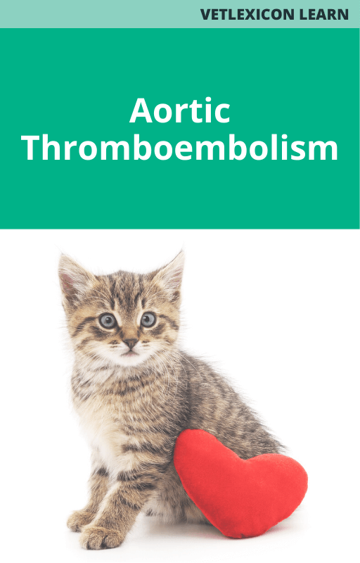 Aortic Thromboembolism