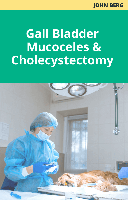 Gall Bladder Mucoceles and Cholecystectomy
