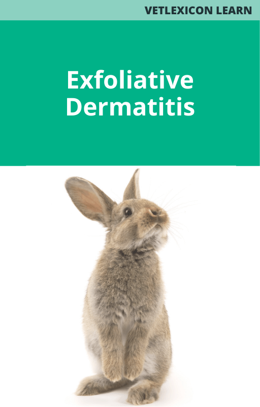 Exfoliative Dermatitis