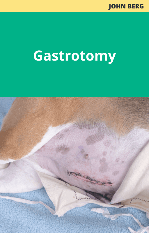 Gastrotomy