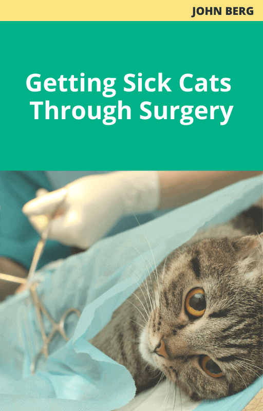 Getting Sick Cats Through Surgery