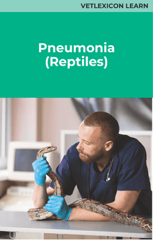 Reptile Pneumonia