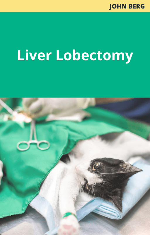 Liver lobectomy