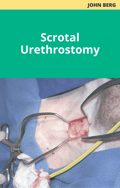 John Berg Scrotal Urethrostomy