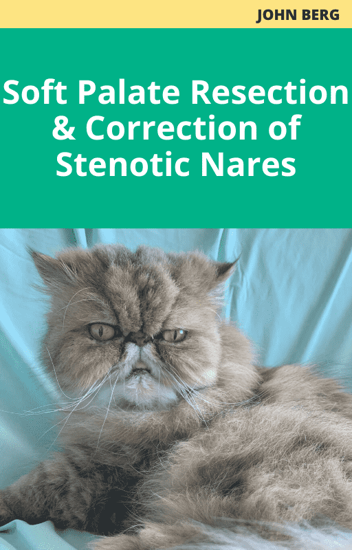 Soft Palate Resection and Correction of Stenotic Nares