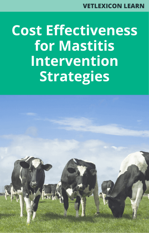 Cost Effectiveness for Mastitis Intervention Strategies
