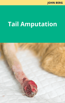 John Berg Tail Amputation