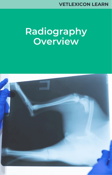 Radiography Overview