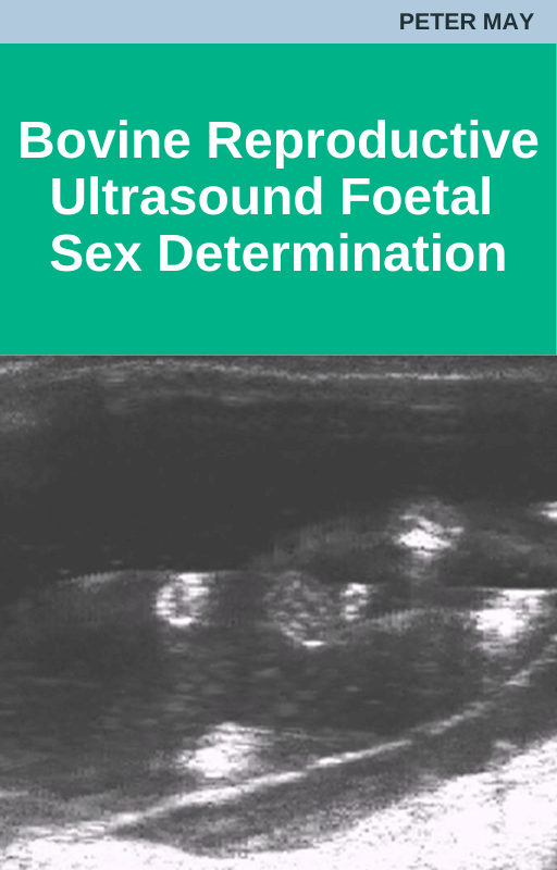 Bovine Reproductive Ultrasound - Foetal Sex Determination