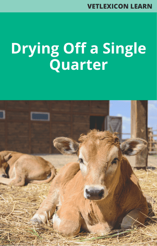 Drying Off a Single Quarter