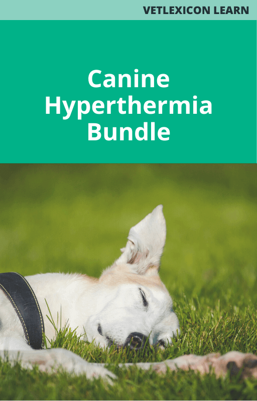 Canine Hyperthermia Bundle