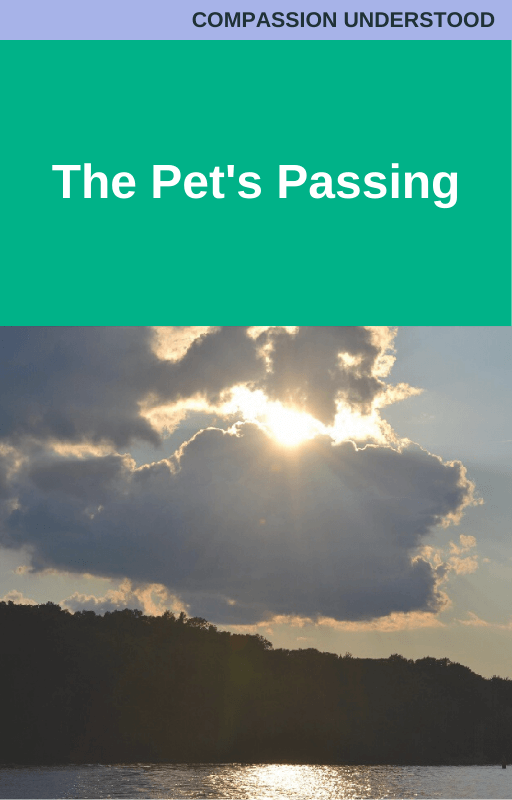 The Pet's Passing