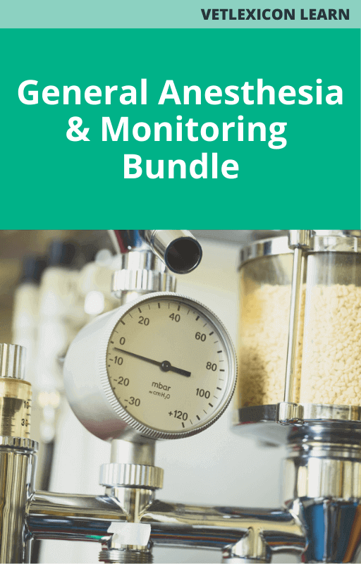 General Anesthesia and Monitoring Bundle