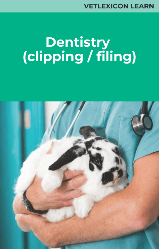 Dentistry (Clipping/Filing)
