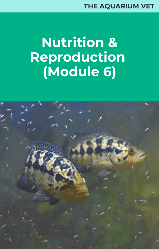 Aquatic Nutrition and Reproduction