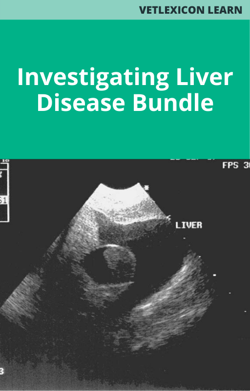 Investigating Liver Disease Bundle