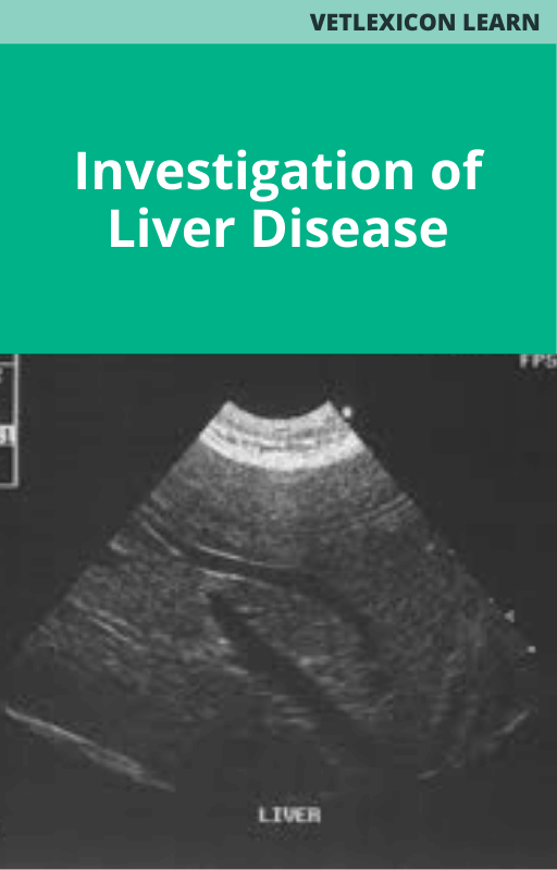 Investigation of Liver Disease
