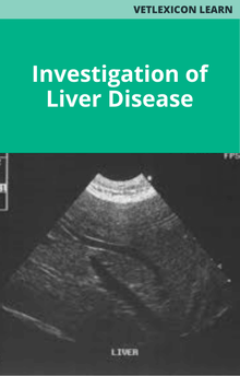 Canine Investigation of Liver Disease