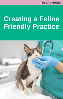 Creating a Feline Friendly Practice