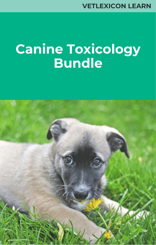 Canine Toxicology Bundle