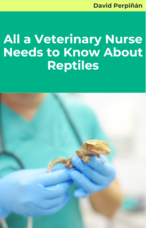 All a Veterinary Nurse Needs to Know About Reptiles