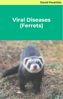 Viral Diseases (Ferrets)