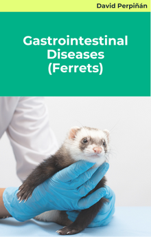Gastrointestinal Diseases (Ferrets)