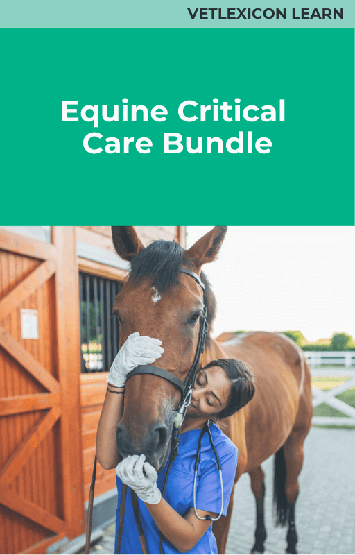 Equine Critical Care Bundle