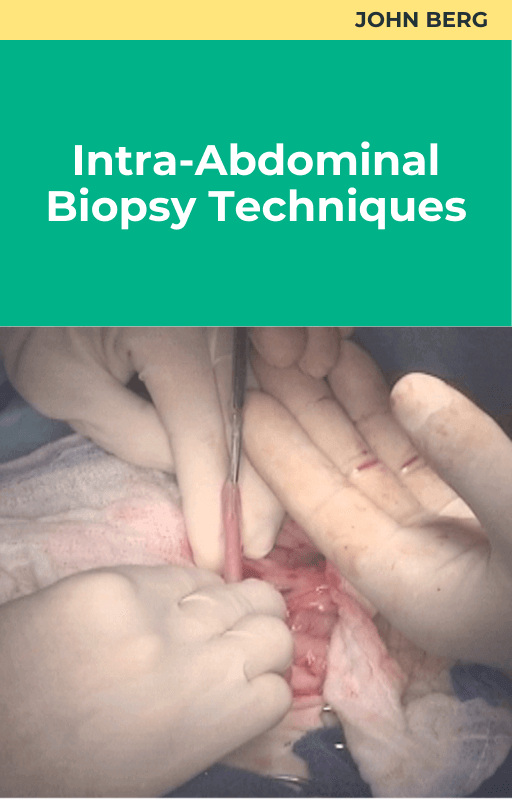 John Berg Intra-Abdominal Biopsy Techniques