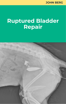 John Berg Ruptured Bladder Repair
