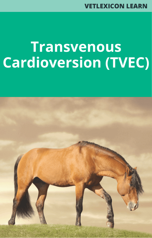 Transvenous Cardioversion (TVEC)