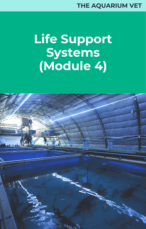 The Aquarium Vet Life Support Systems Module 4