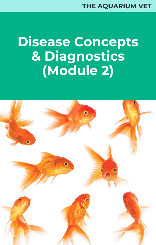 Disease Concepts and Diagnostics (Module 2)