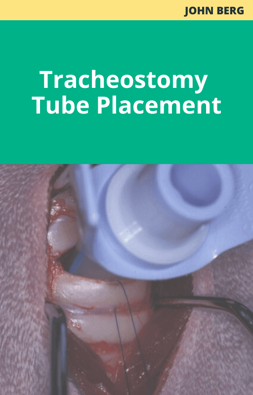 Tracheostomy Tube Placement