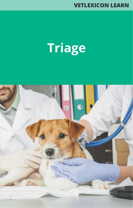 Canine Triage
