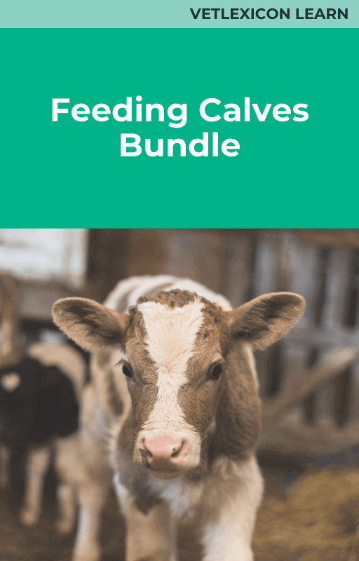 Feeding Calves Bundle
