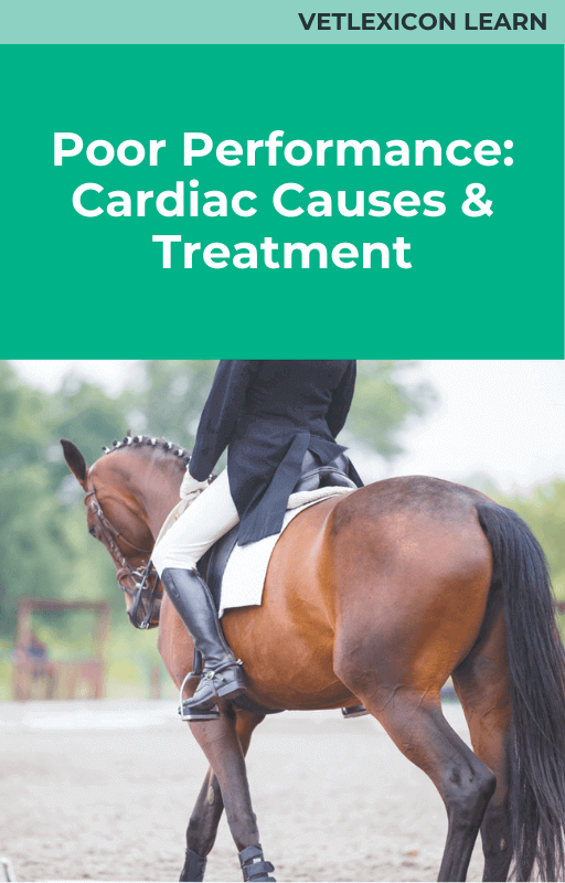 Poor Performance: Cardiac Causes and Treatment