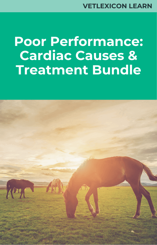 Equine Poor Performance: Cardiac Causes and Treatment Course Bundle