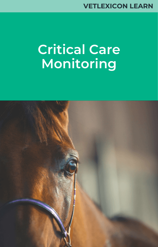 Equine Critical Care Monitoring