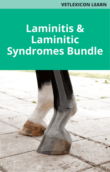 Laminitis & laminitic syndromes