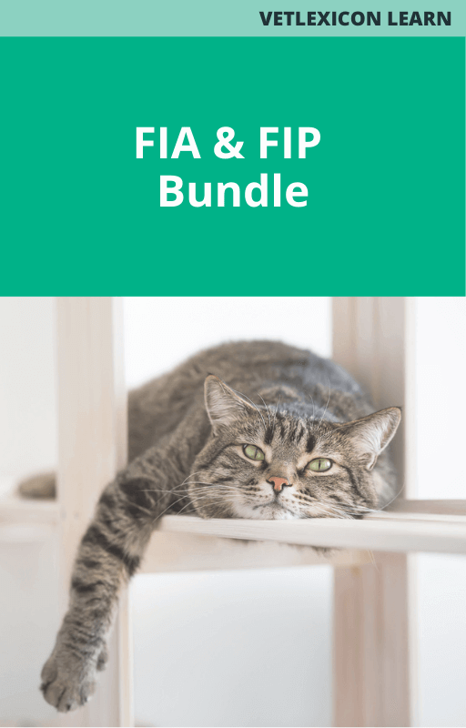 FIA and FIP Bundle