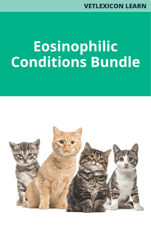 Feline Eosinophilic Conditions Bundle