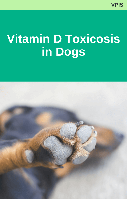 Vitamin D Toxicosis in Dogs